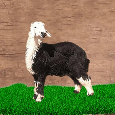 نجدي جذع ناهي 40-50 - قـنـطـرة