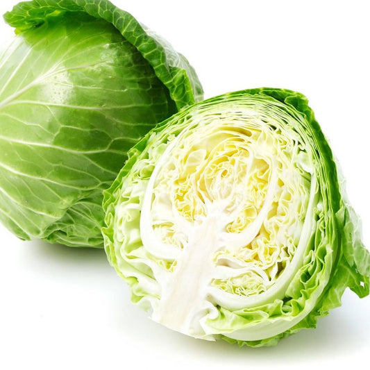 cabbage