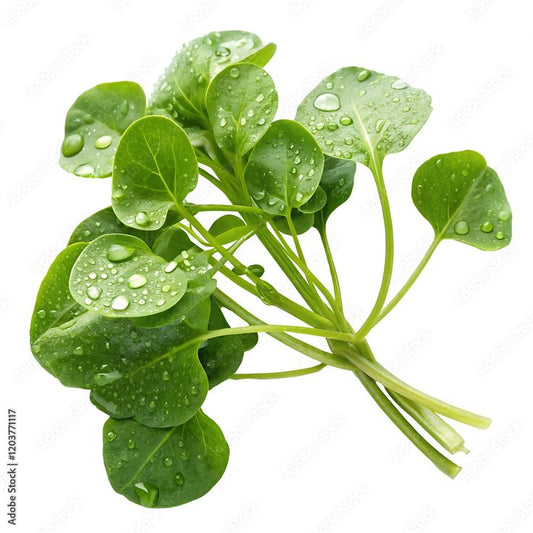 watercress