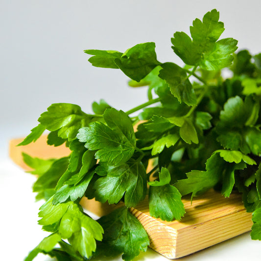 Parsley